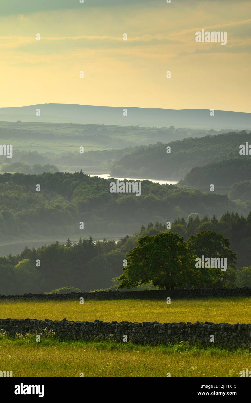 vista panorámica de la noche de verano pastoral de larga distancia (laderas boscosas, plantación forestal, colinas ondulantes, cielo colorido) - Washburn Valley, Inglaterra, Reino Unido. Foto de stock