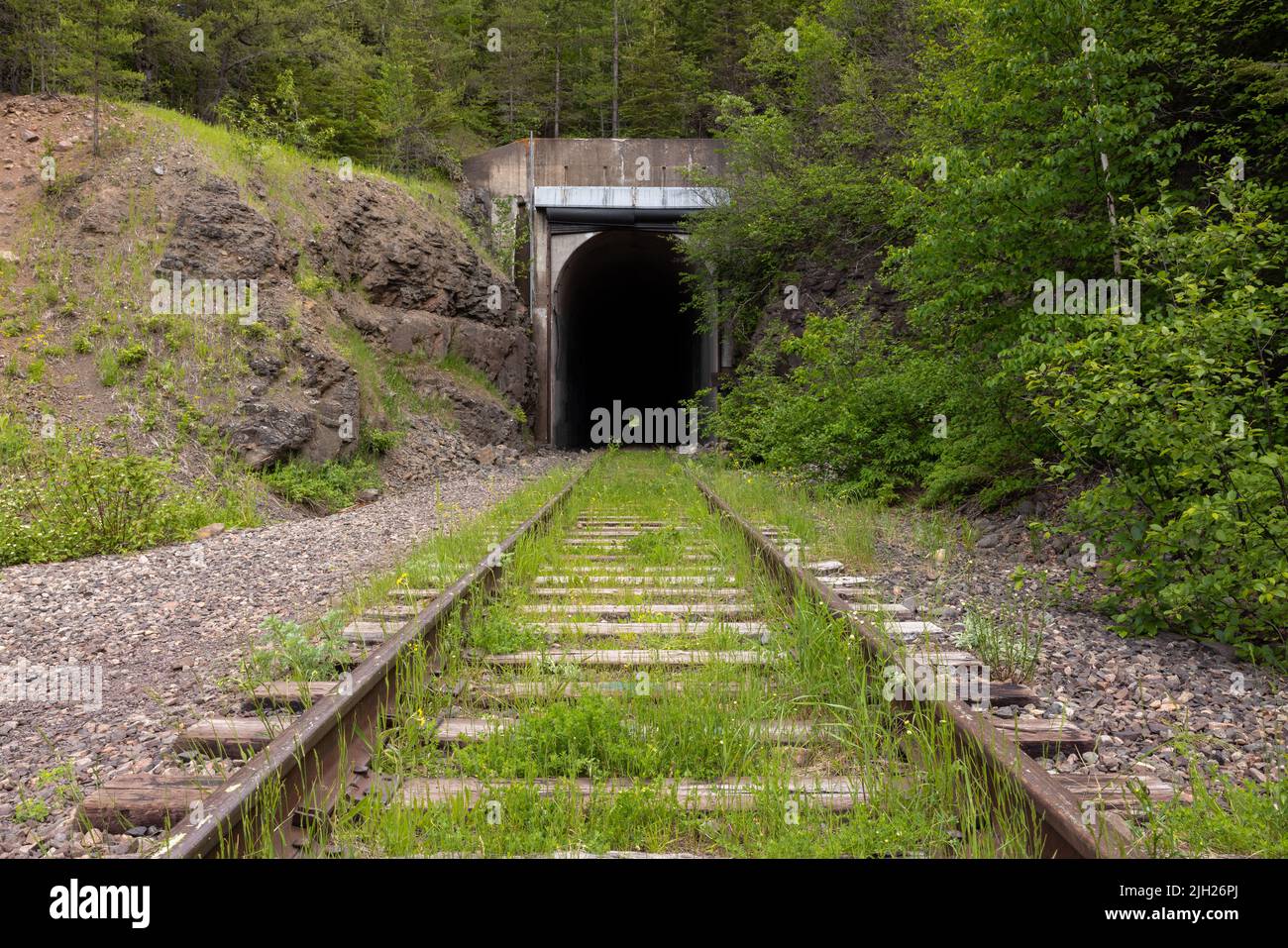 Túnel de ferrocarril abandonado en el bosque Foto de stock