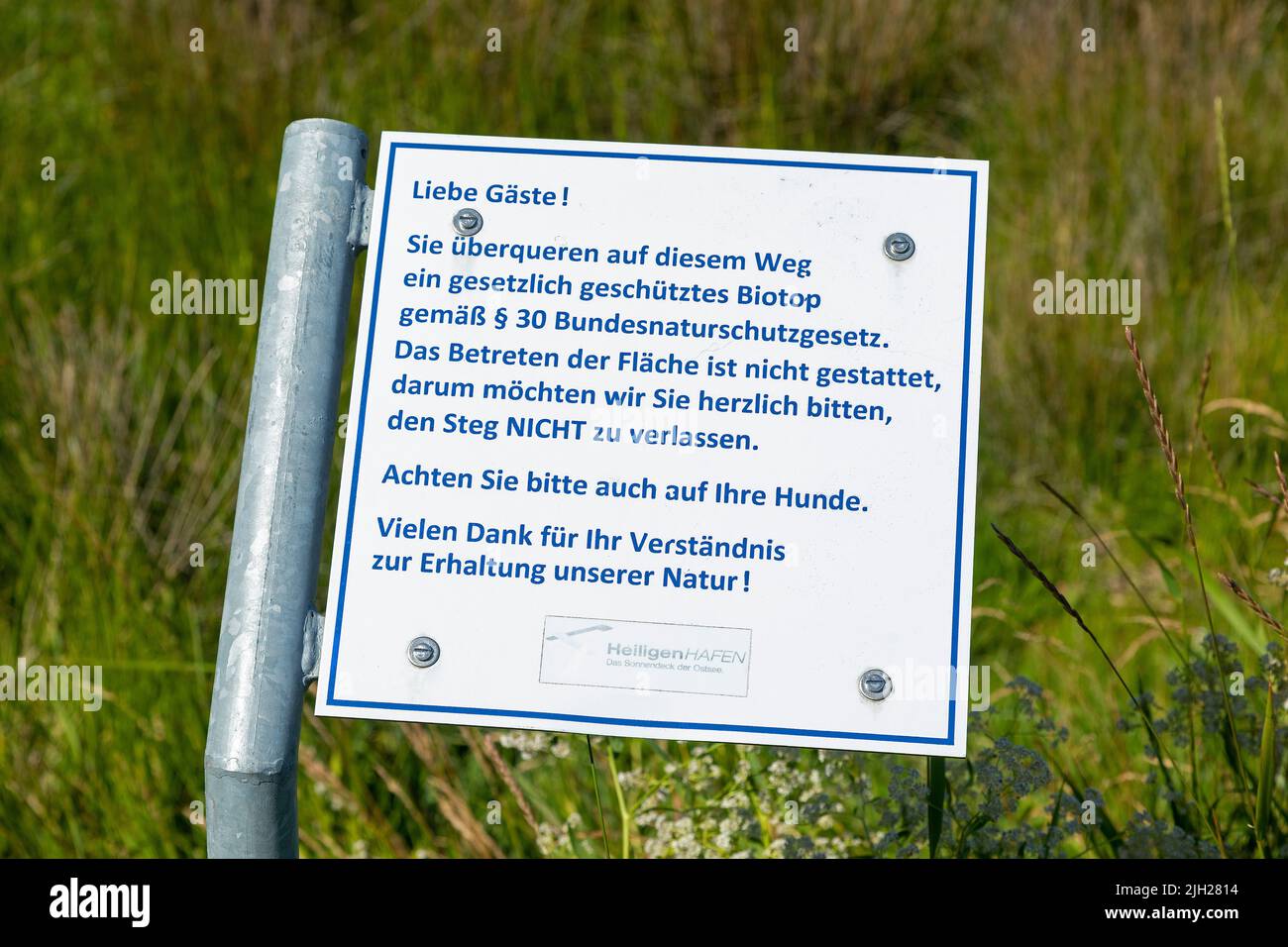 Cartel informativo, biotopo, península Steinwarder, Heiligenhafen, Schleswig-Holstein, Alemania Foto de stock