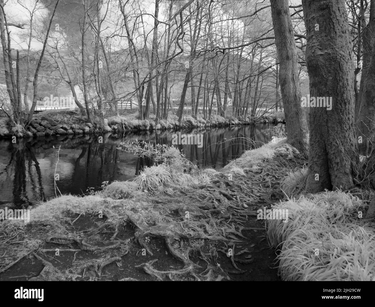 Imagen infrarroja del río Derwent en Borrowdale en el Parque Nacional del Distrito de los Lagos, Cumbria, Inglaterra. Foto de stock