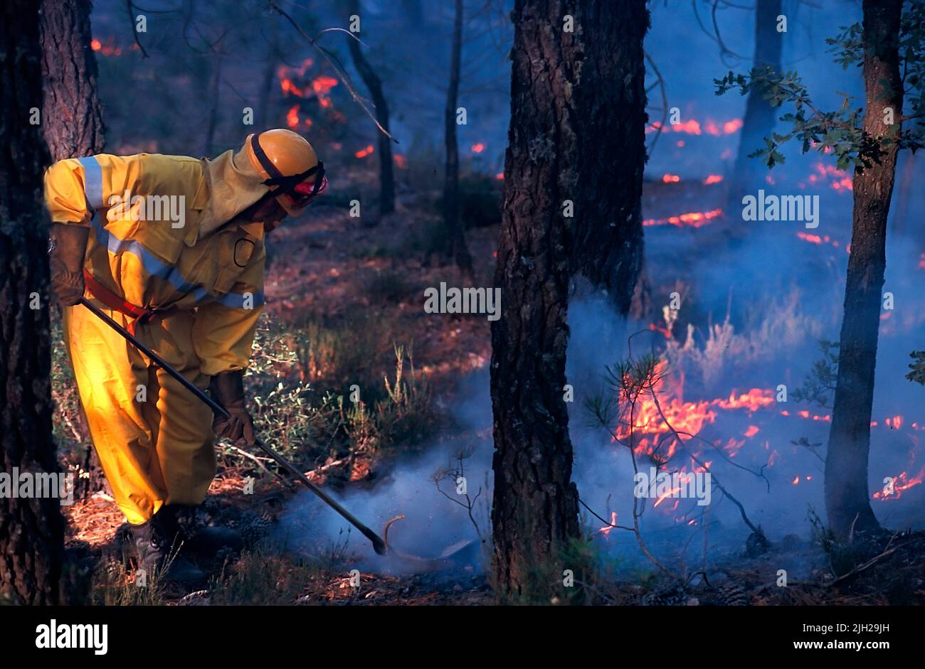 Bombero tratando de controlar un incendio en el bosque Foto de stock