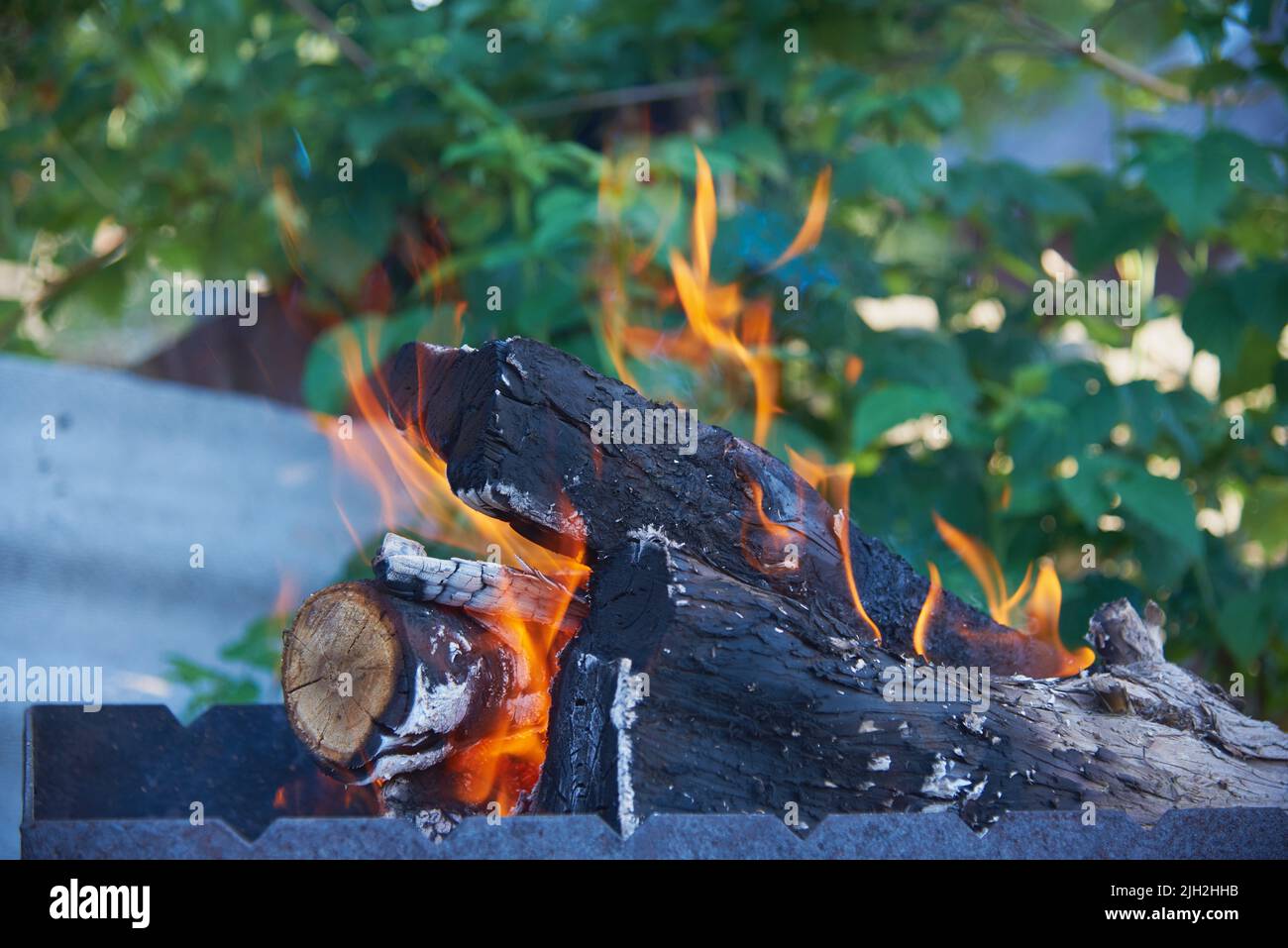 Madera quemada en la parrilla sobre el fondo de follaje verde. Foto de stock