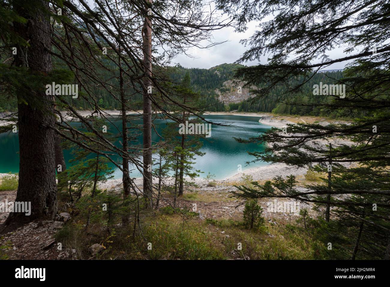 Vista entre los árboles del Lago Negro en el Parque Nacional Durmitor, Municipio de Žabljak, al norte de Montenegro Foto de stock