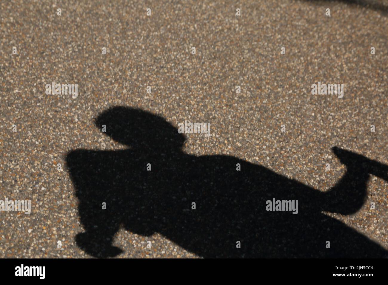 Sombra de una persona sobre grava en Wisley RHS Gardens Surrey England Foto de stock