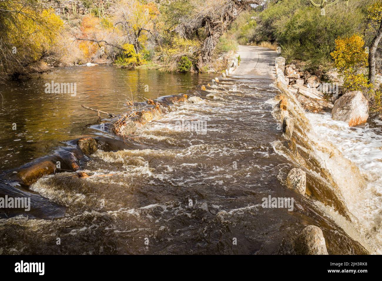 Mirando a través de Sabino Creek en un día lluvioso donde el agua hace que los cruces sean peligrosos en el área recreativa de Sabino Canyon, Arizona, EE.UU. Foto de stock
