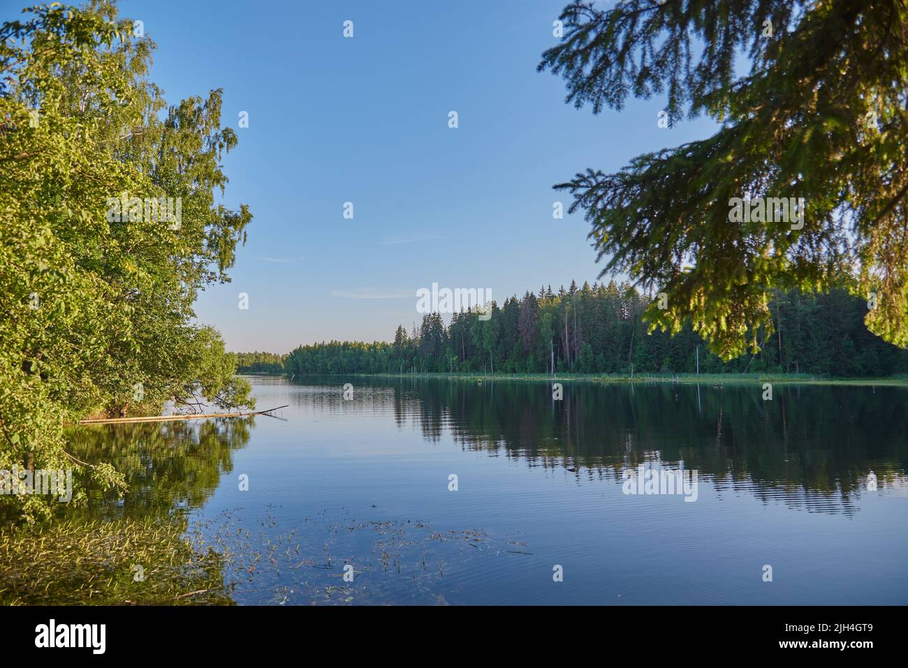 Paisaje de verano por la tarde. Un gran lago entre los árboles. Foto de stock