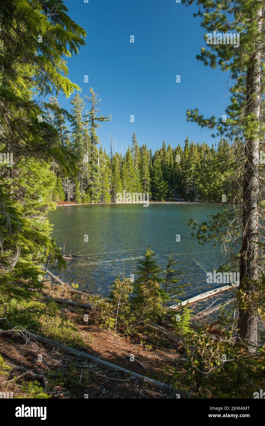 Lucky Lake en el parque natural Three Sisters Wilderness de Oregón está a 1,25 millas a pie desde el comienzo del sendero cerca de Lava Lakes en la carretera panorámica Cascade Lakes. Foto de stock