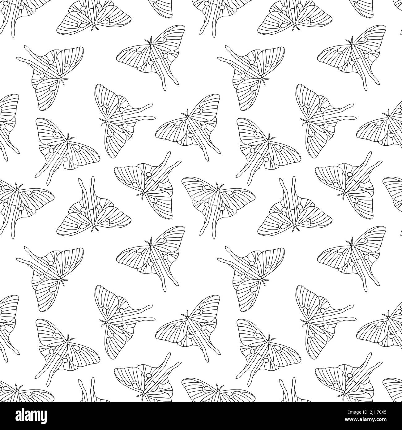 Mariposas voladoras monocromáticas Estampado Vectorial Sin Costura