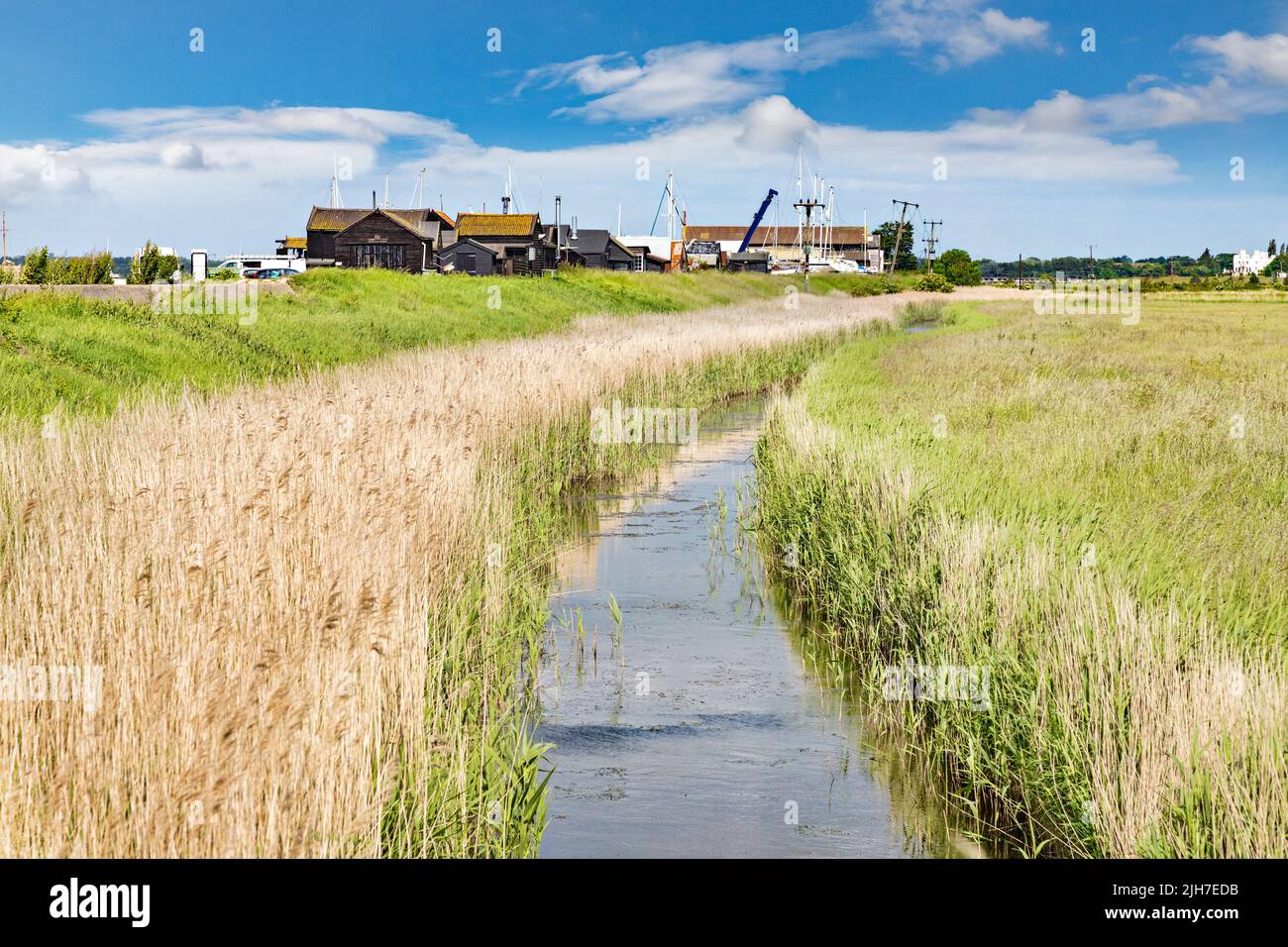 Southwold, Suffolk, Reino Unido, los pantanos de la ciudad, con una zanja, los céspedes largos y los astilleros viejos. Arroyo corriendo a través de hierba larga. Foto de stock