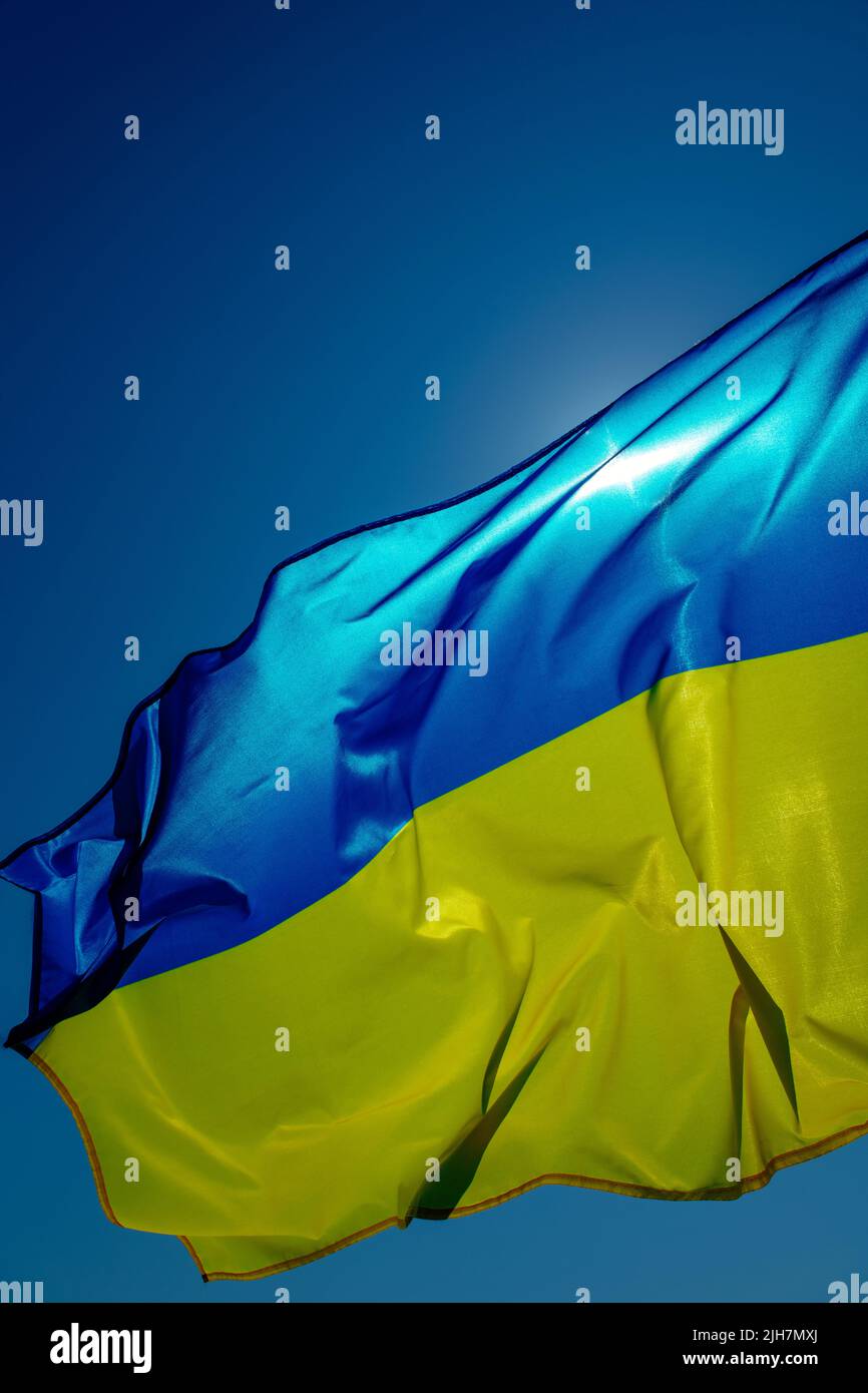 primer plano de la bandera ucraniana que ondea en el cielo en un día soleado, a la luz del sol Foto de stock