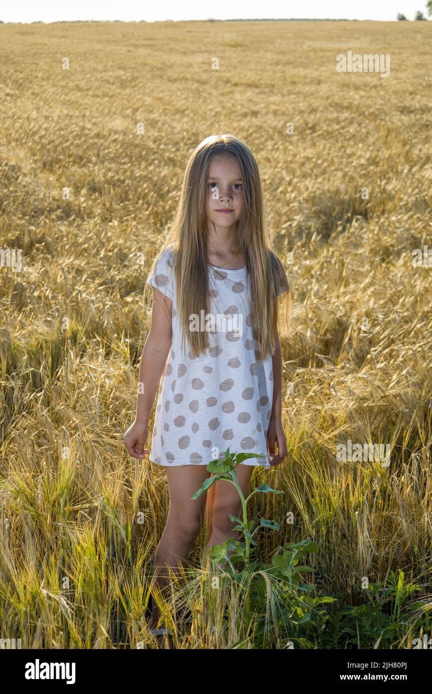 Hermosa niña rubia de 3 años con un vestido marrón en un campo de trigo con  una jarra de leche, la vida del pueblo.