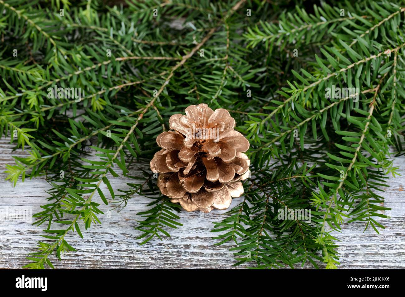 Primer plano de un adorno de pino de color dorado con ramas de abeto real sobre madera rústica blanca para el fondo de Navidad o Año Nuevo Foto de stock