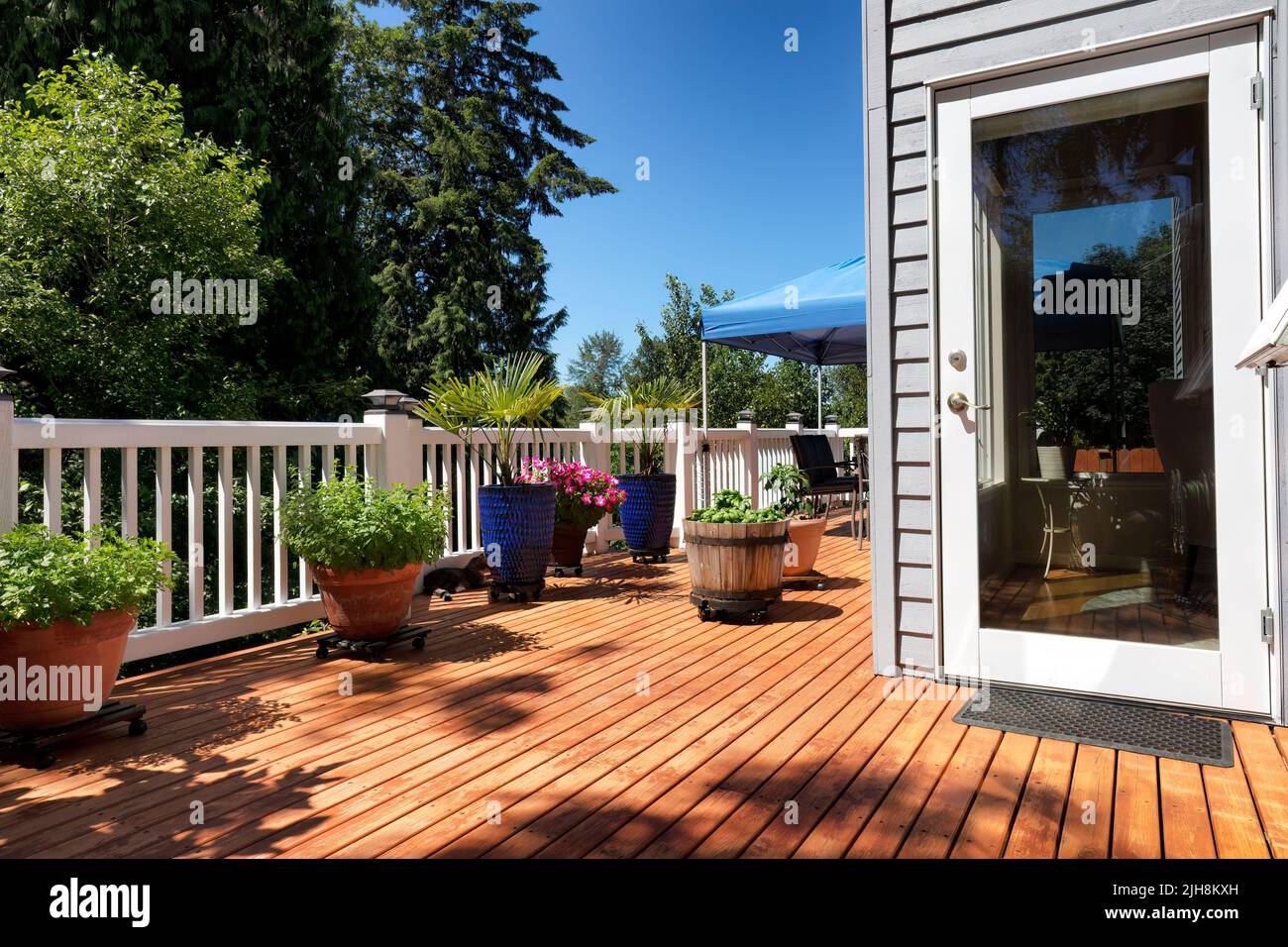 Casa patio trasero con jardín y plantas en macetas durante la temporada de crecimiento de verano Foto de stock