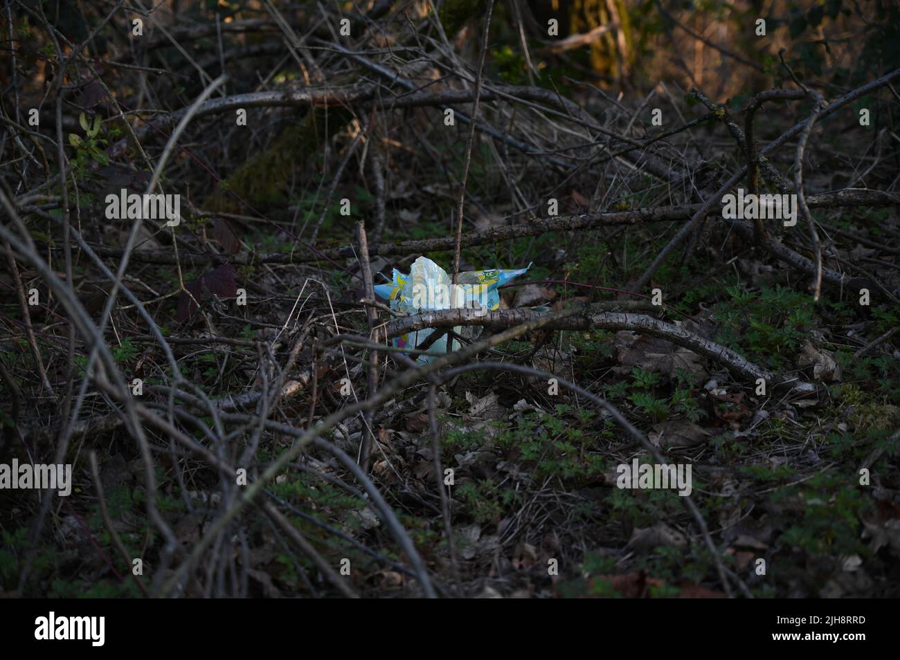 La basura en el bosque - contaminación ambiental Foto de stock