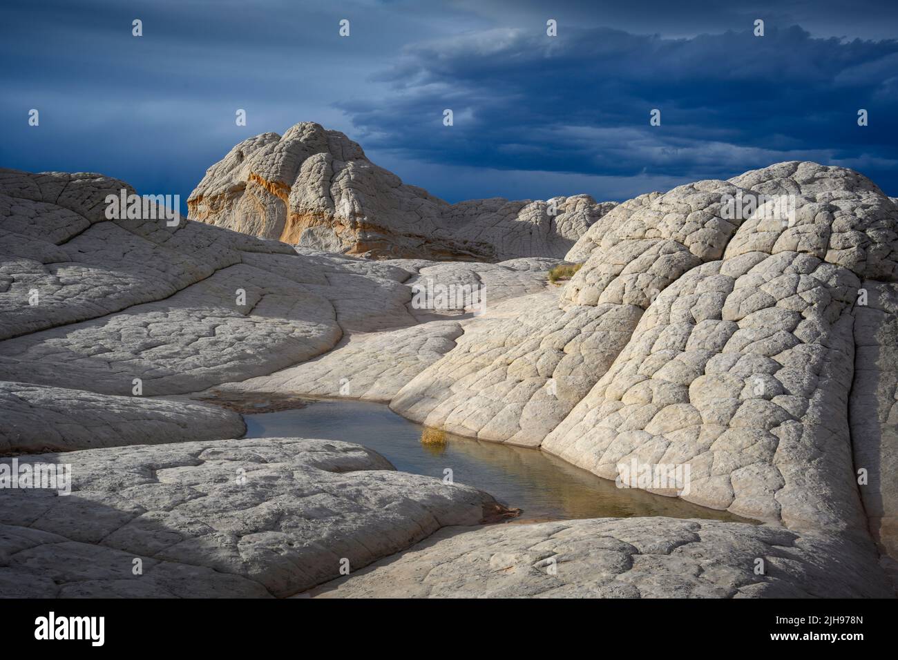 Formaciones de arenisca 'Brain Rock' en White Pocket, en el Monumento Nacional Vermillion Cliffs, Arizona. Foto de stock