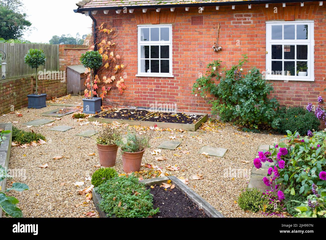 Jardín de otoño en Inglaterra, Reino Unido. Paisaje duro con grava, losas de piedra de York y camas elevadas de roble Foto de stock