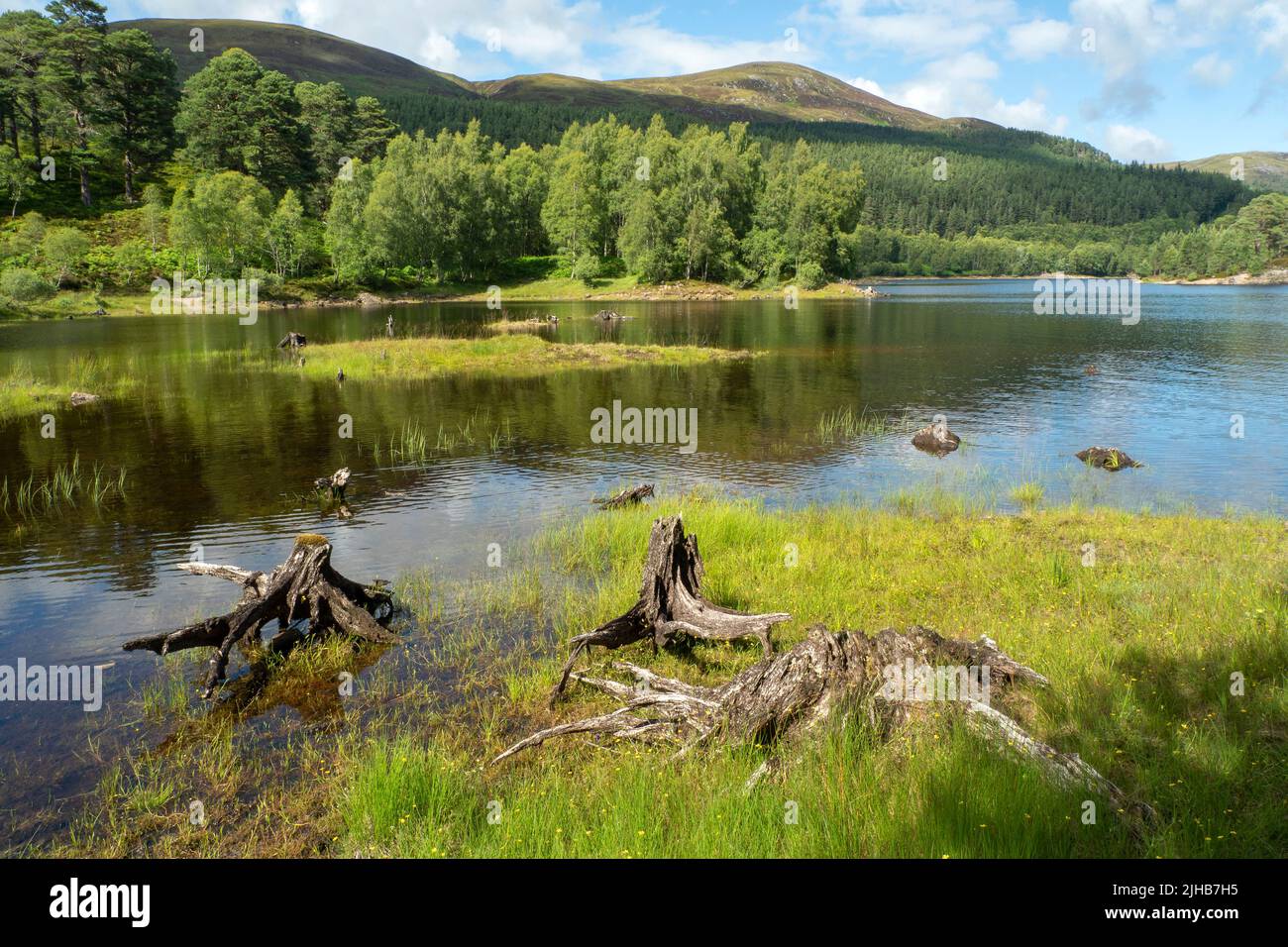 Loch Beinn a' Mheadhoinm, Glen Affric cerca de Cannich, Highlands Scotland Foto de stock