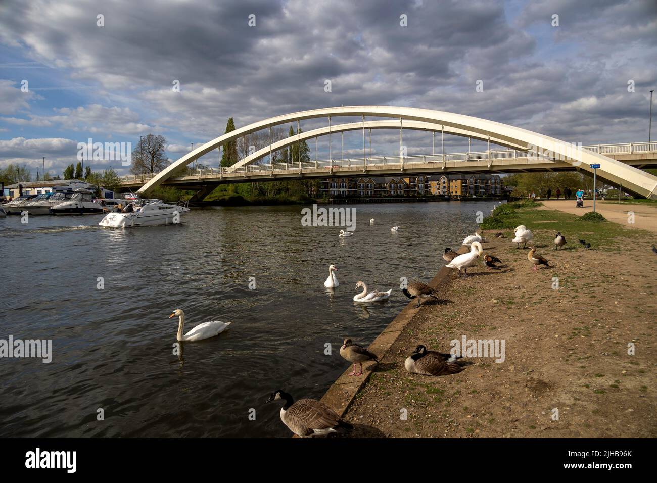 Walton Bridge y el río Támesis, Walton on Thames, Surrey Foto de stock