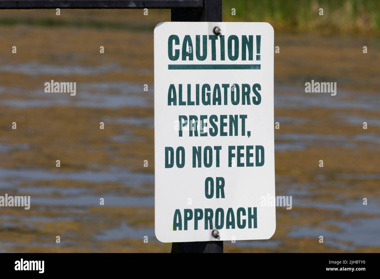 Advertencia: Caimanes presentes, no se alimentan o se acercan a la señal de advertencia en el área recreativa Big Slough en Texas, Estados Unidos Foto de stock