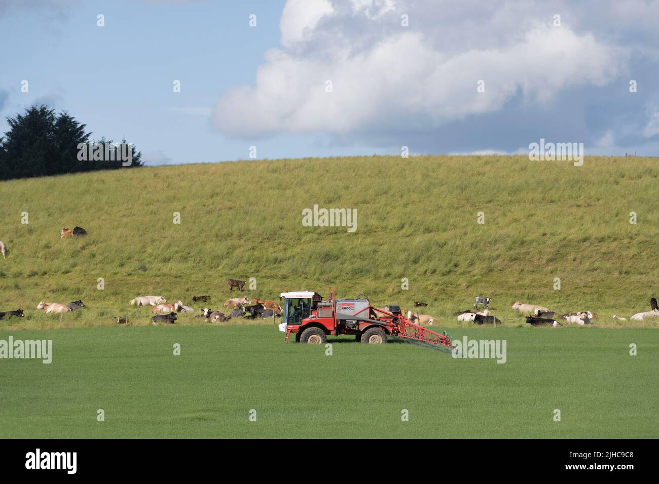 Un pulverizador autopropulsado para cultivos que trabaja en un campo de cebada en tierras agrícolas de Aberdeenshire Foto de stock
