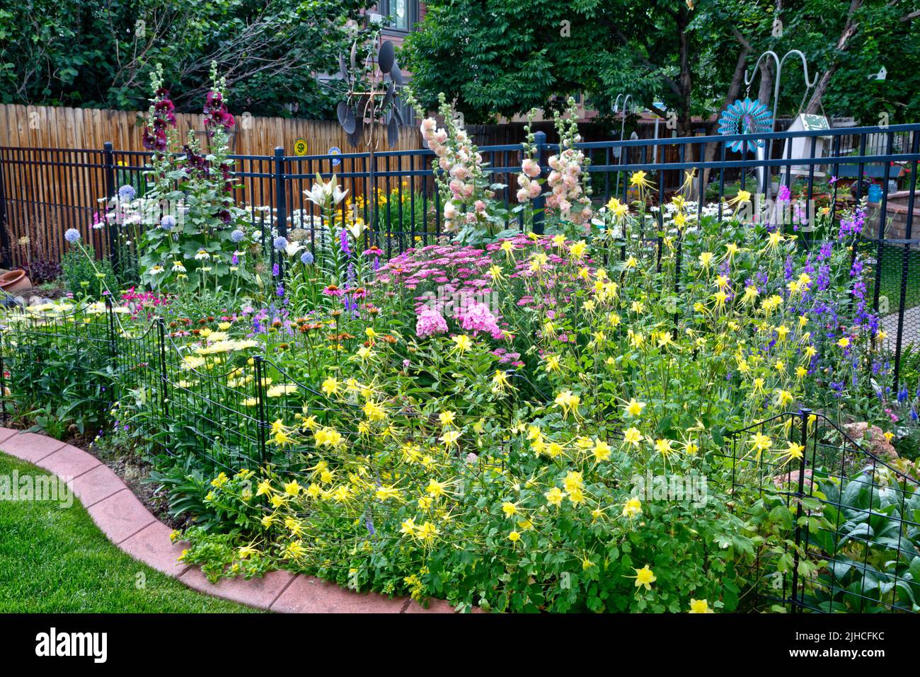 Un jardín de mediados de verano en flor en Denver, Colorado Foto de stock