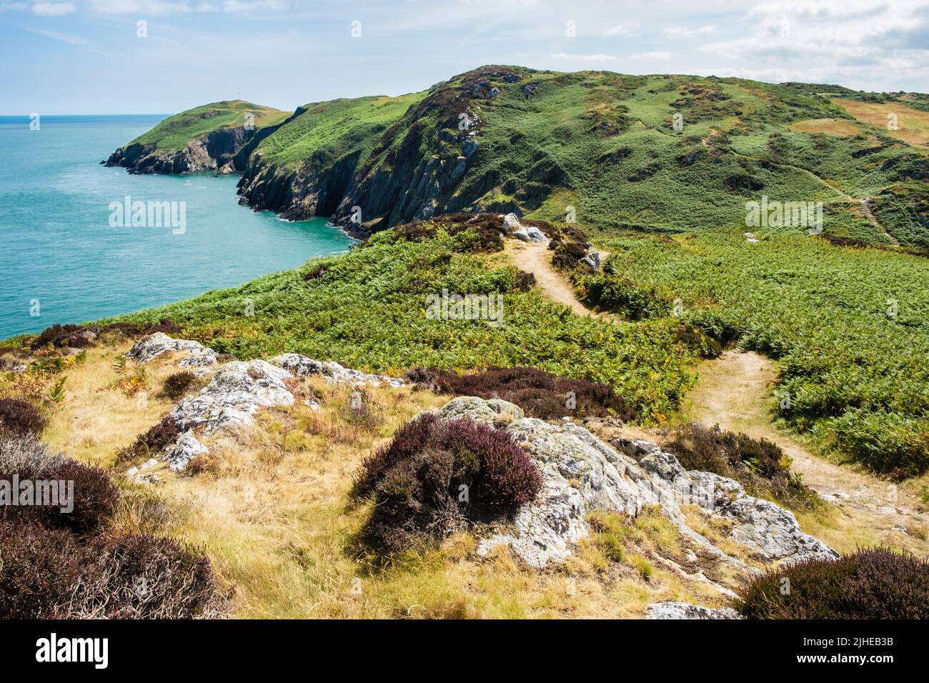 Vista panorámica a lo largo de Anglesey Coast Path e impresionante costa hacia Porth Wen desde Cemaes, Isla de Anglesey, Gales, Reino Unido, Gran Bretaña, Europa Foto de stock