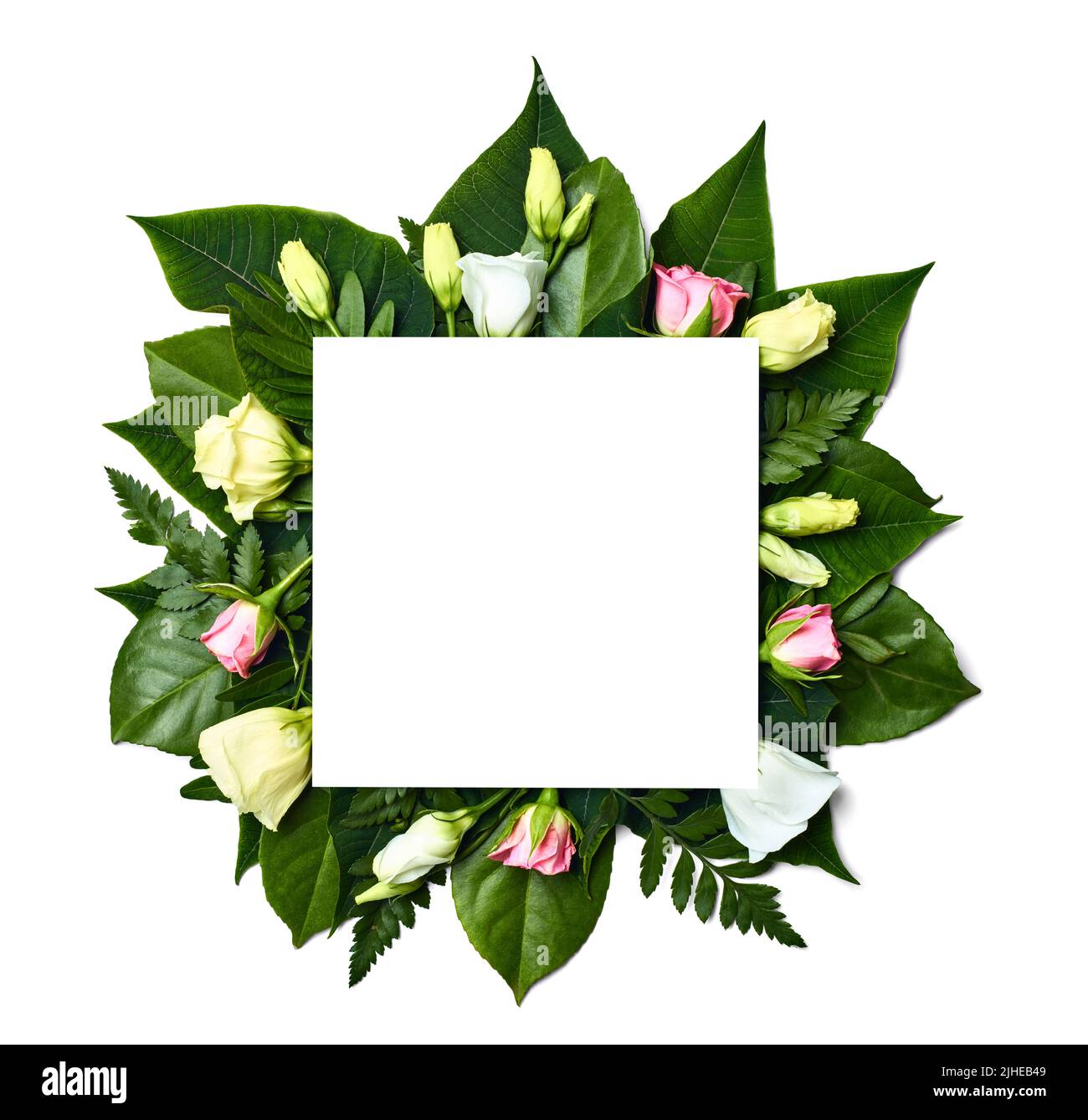 hoja flor tarjeta de felicitación nota papel marco fondo plano puesta diseño floral invitación naturaleza primavera verde Foto de stock