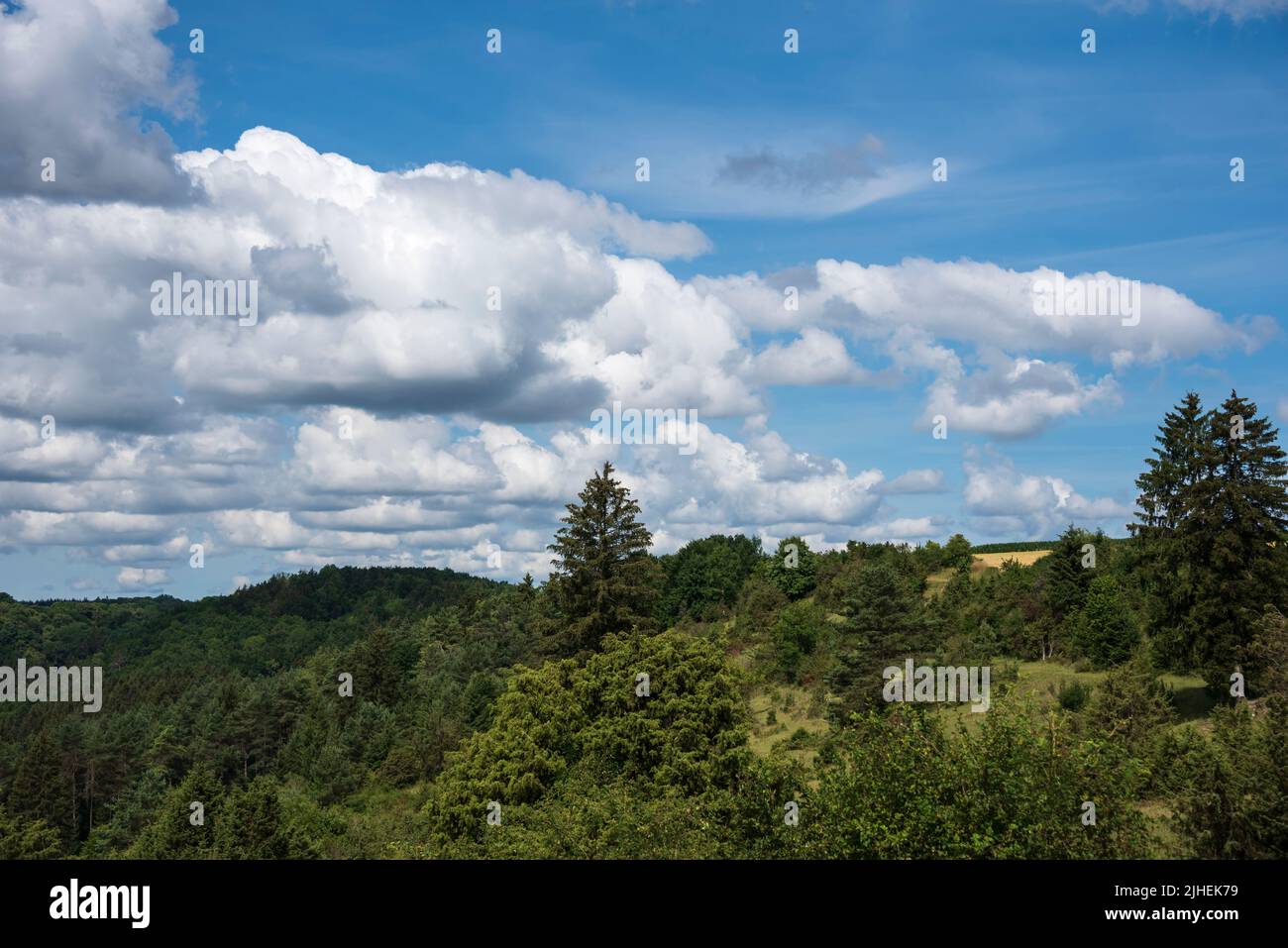 un paisaje de verano en suabia alb en un día soleado en verano con cielo nublado Foto de stock
