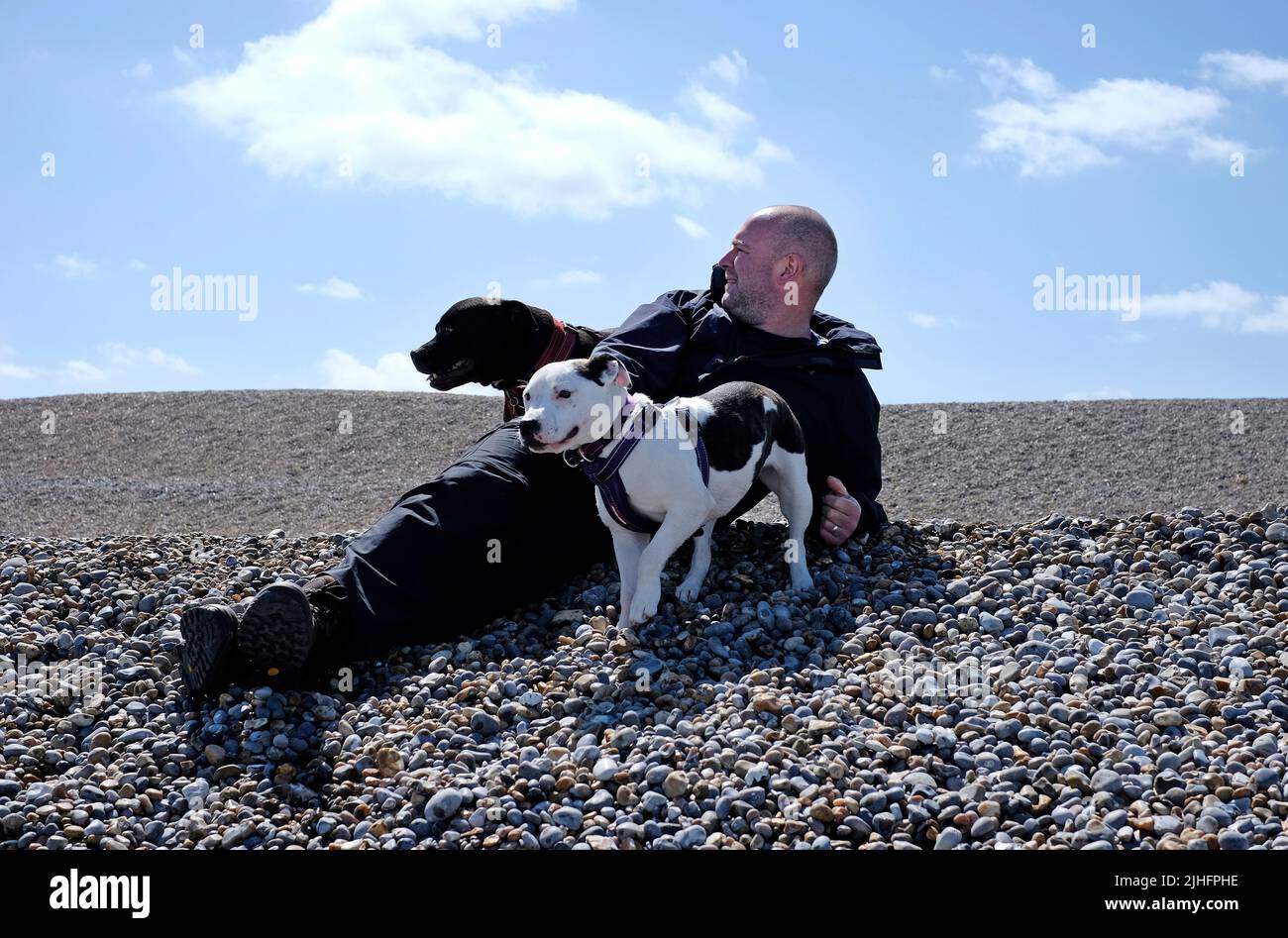 hombre maduro acostado en playa de guijarros con dos perros, weybourne, north norfolk, inglaterra Foto de stock
