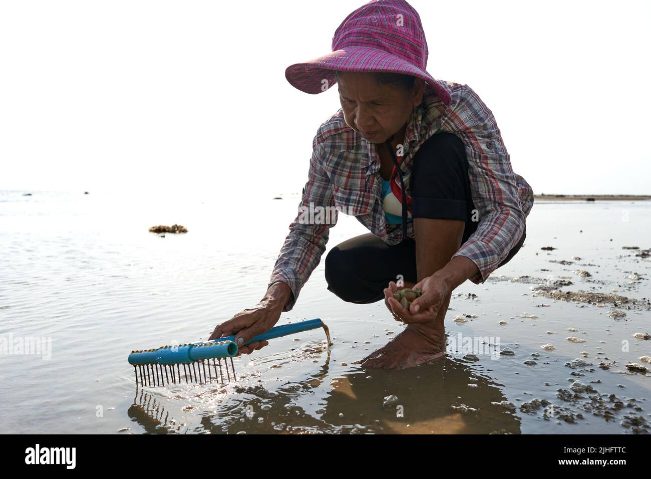 Ko Phangan, Tailandia, 15 de marzo de 2022: Mujer anciana busca almejas en el mar Foto de stock