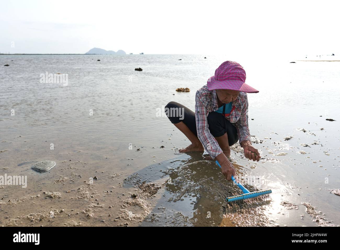 Ko Phangan, Tailandia, 15 de marzo de 2022: Mujer octogenaria busca almejas en el mar Foto de stock