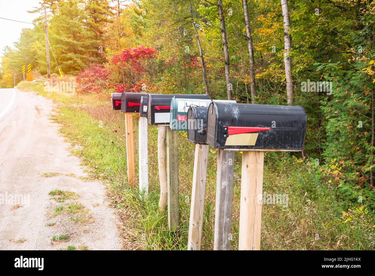 Fila de viejos buzones de metal a lo largo de un camino rural en otoño Foto de stock