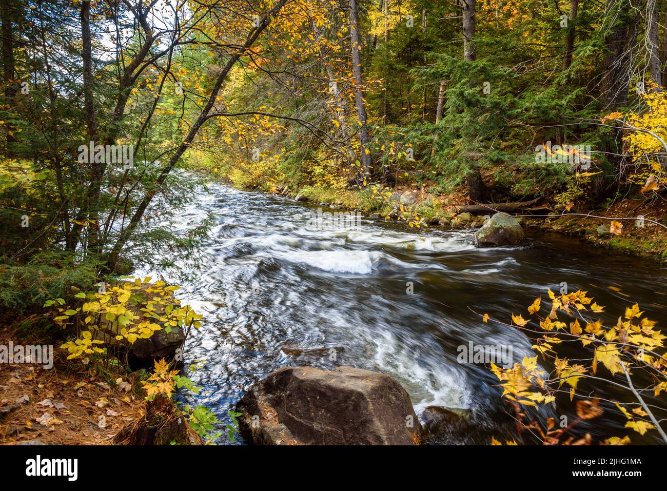 Acelera a lo largo de un río a través de un bosque colorido en otoño Foto de stock