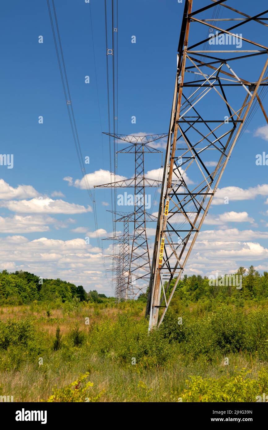 Torres de transmisión de alta tensión en un campo. Ontario Canadá. Foto de stock