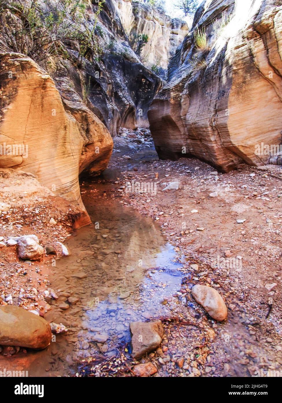 Agua en el desierto. Una pequeña corriente que fluye de la desembocadura de un Cañón Slot en un cañón Slot en el sur de Utah, EE.UU. Foto de stock