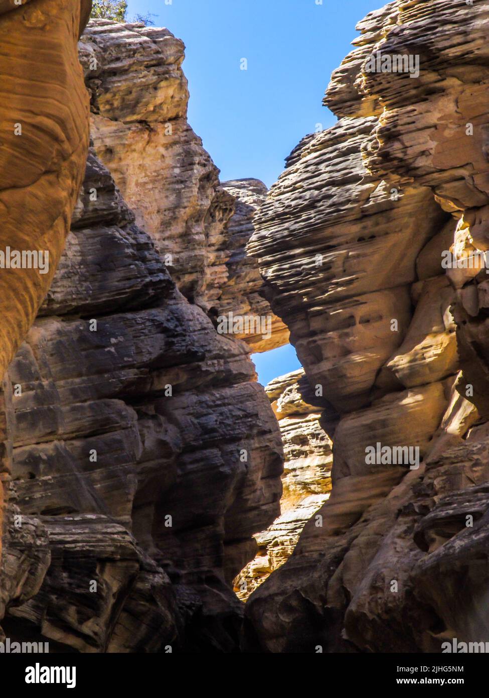Erosionados acantilados de arenisca escarpados, formando un Cañón Slot, en Willis Creek, Utah, EE.UU. Foto de stock
