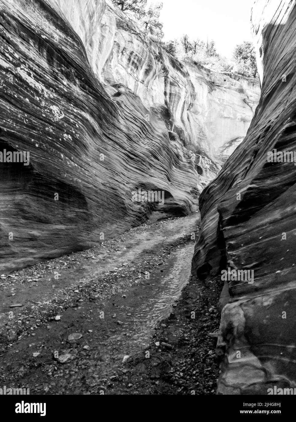 Entrecruzamiento escarpado que conduce más profundamente a un estrecho cañón de ranura en Willis Creek, Utah, EE.UU. En blanco y negro Foto de stock