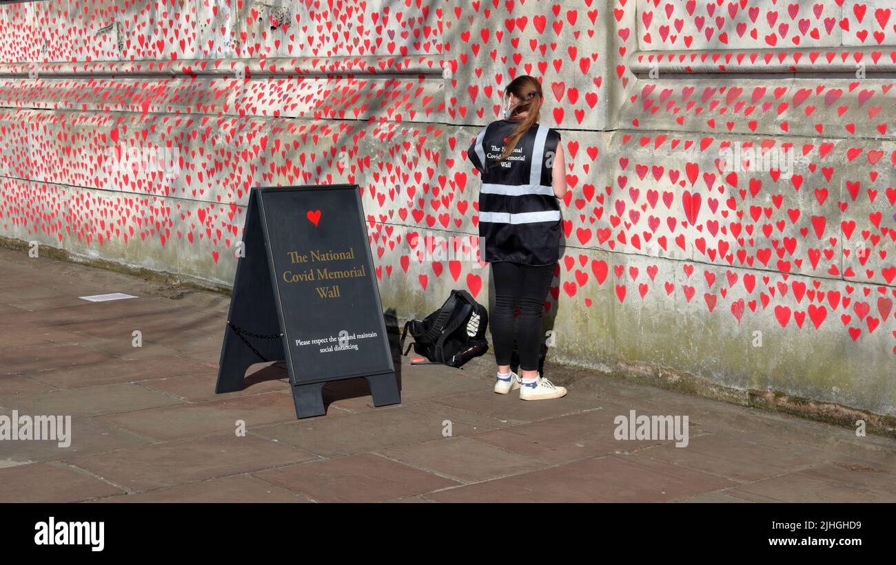 Londres, Reino Unido - 30 de marzo de 2021: El Muro Conmemorativo Nacional de Covid, voluntarios pintando 150.000 corazones rojos para conmemorar las muertes de Covid-19 Foto de stock