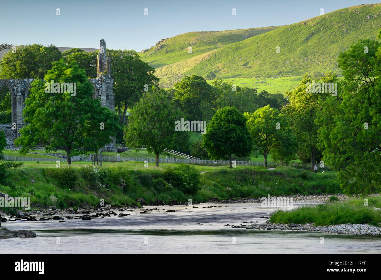 Bolton Abbey (hermosa ruina histórica a orillas del río, río sinuoso, colinas ondulantes iluminadas por el sol, tarde de verano) - Wharfedale Yorkshire Dales, Inglaterra, Reino Unido Foto de stock