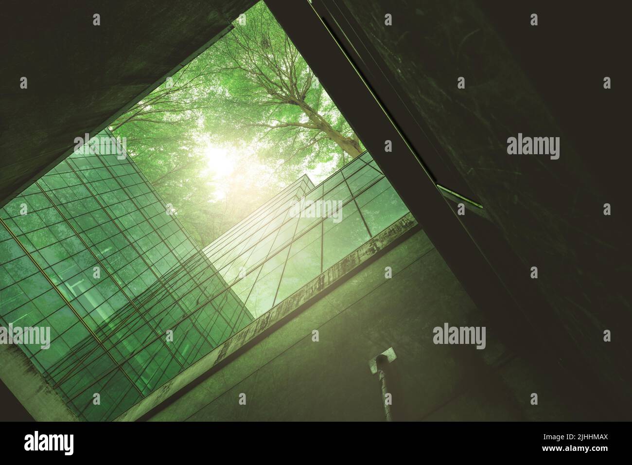 Edificio ecológico en la ciudad moderna. Edificio de oficinas de vidrio sostenible con árboles para reducir el calor y el dióxido de carbono. Edificio de oficinas con verde Foto de stock