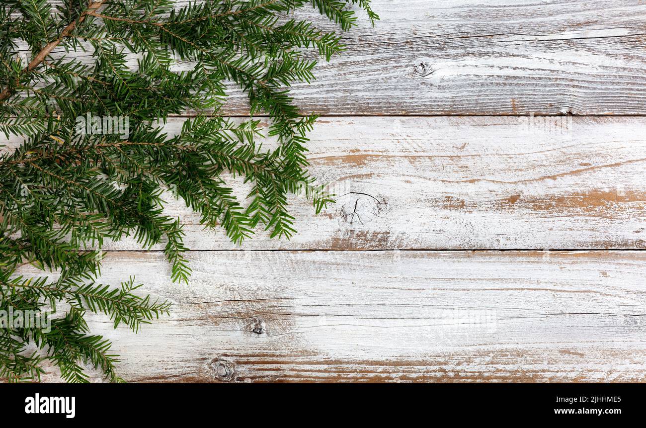 Rama de abeto real sobre fondo blanco de madera rústica para el concepto de vacaciones de Navidad o Año Nuevo Foto de stock