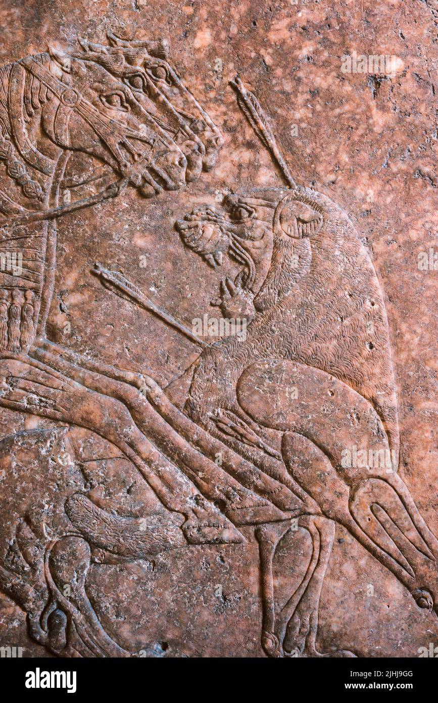 Relieve de pared de piedra con la escena del león de caza de la antigua Persia Foto de stock