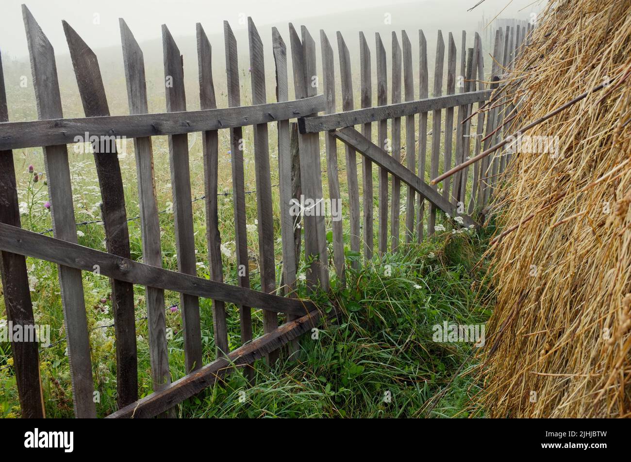 Puerta rústica de madera y valla de piquete en la niebla de la montaña en Serbia Foto de stock