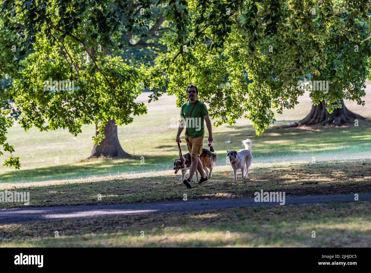 Northampton 19th de julio de 2022. Se prevé que será el día más caluroso que se haya registrado, por lo que la gente sale temprano paseando a sus perros por Abington Park, mientras que hace un poco más frío antes de que el calor del día se intensifique. Crédito: Keith J Smith./Alamy Live News. Foto de stock