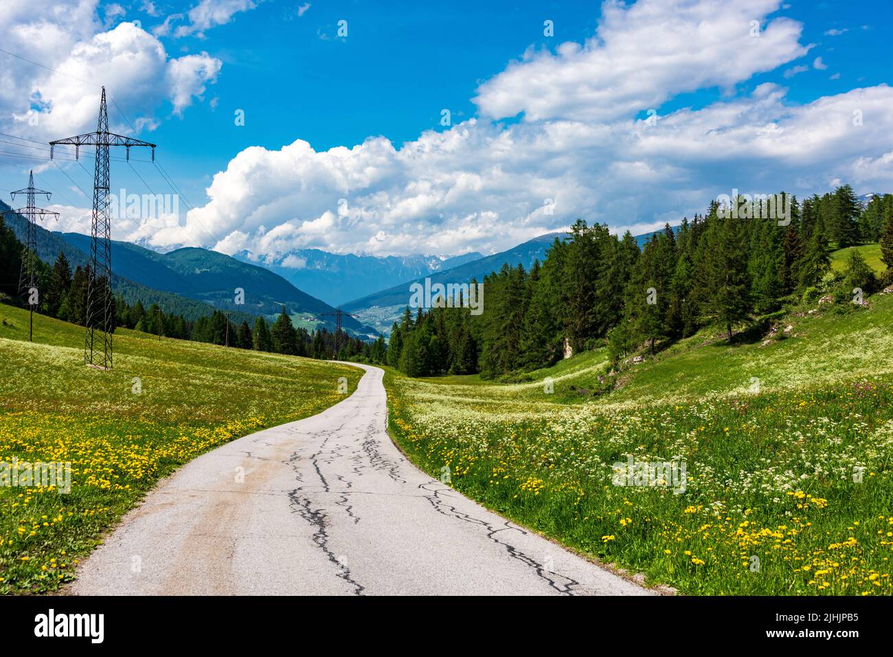 Eine satte Almwiese mit gelben Blumen und Berge am Rande einer Landstraße in den Alpen Foto de stock