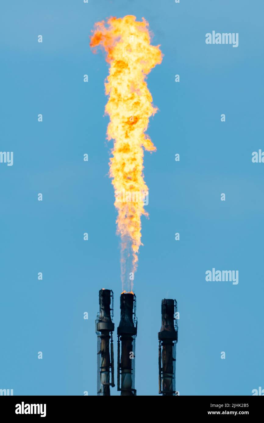 Llamarada de gas en refinería de petróleo, pila de llamaradas quemando el exceso de gas. Llama de refinería de petróleo, llamarada, quema, chimenea, contaminación, productos petroquímicos, chimeneas. REINO UNIDO Foto de stock