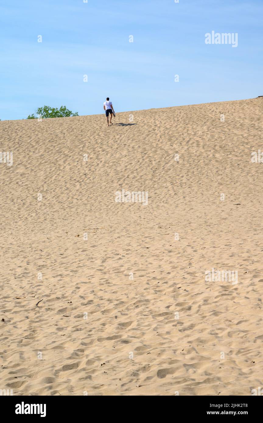 Un joven de veinte años está caminando hasta la cima de una duna de arena en la playa Sandbanks Dunes, Prince Edward County, Ontario, Canadá. Foto de stock