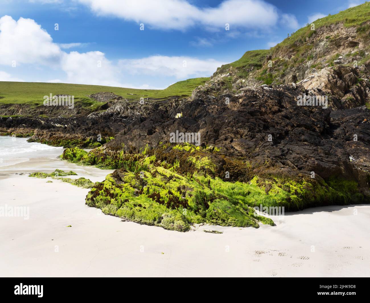 Rocas cubiertas de algas en la isla de St Ninian, Shetland, Escocia, Reino Unido. Foto de stock