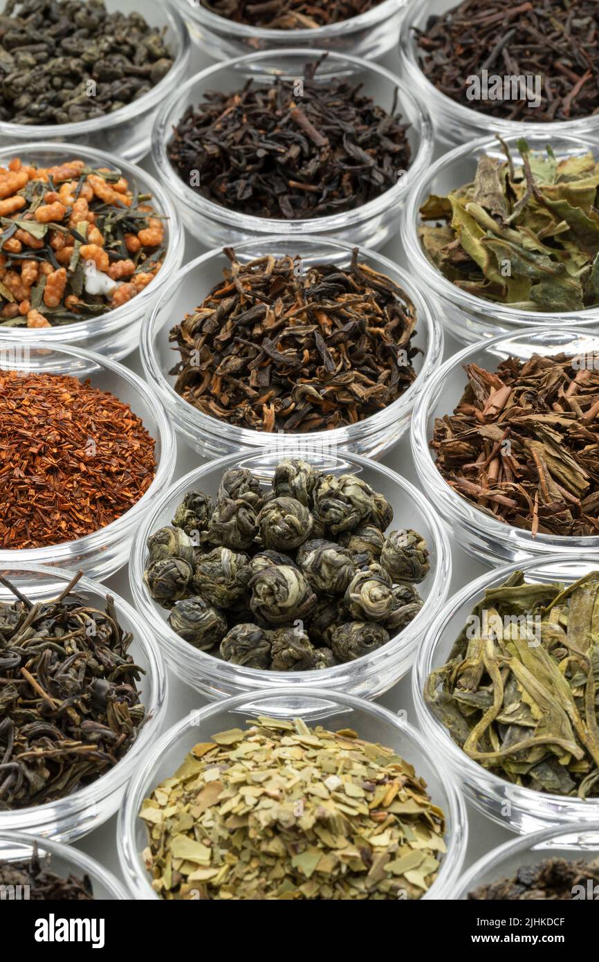 Cuencos de Glas con una variedad de diferentes hojas de té seco de China, India, Japón y Sudáfrica primer plano de cuadro completo Foto de stock