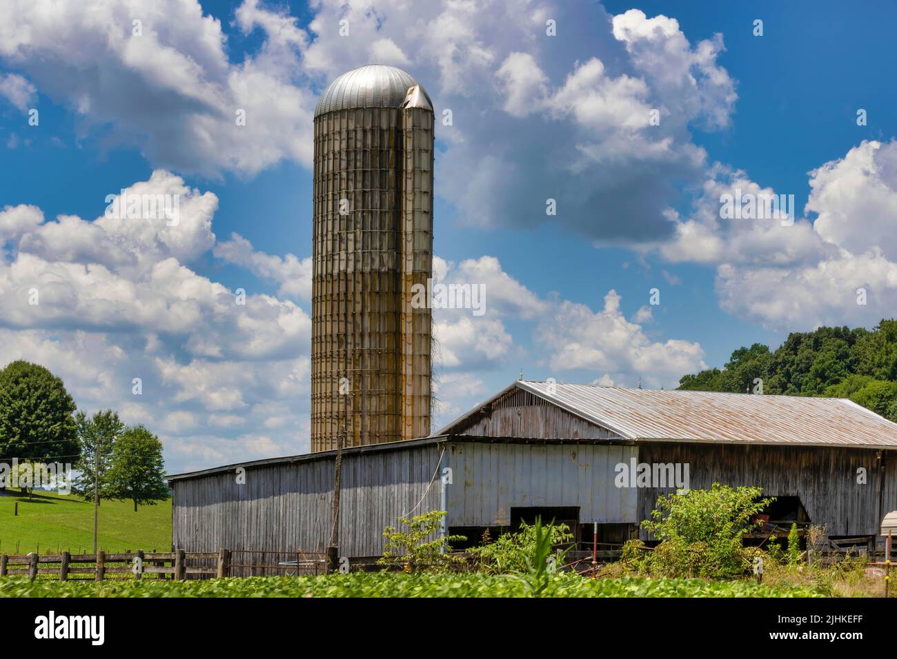 Silo y granero bajo cielos nublados en el paisaje agrícola en Tennessee rural. Foto de stock